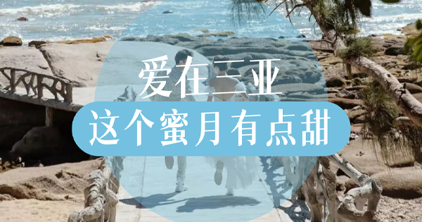 愛在三亞 這個(gè)蜜月有點(diǎn)甜