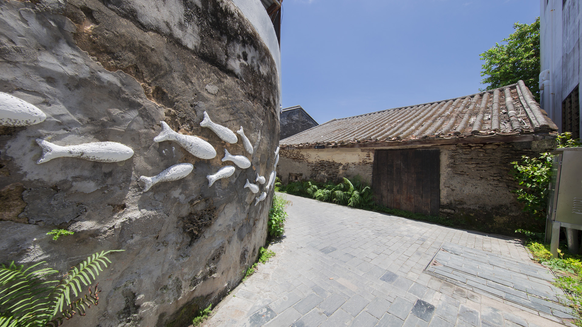 西島 珊瑚老屋s.jpg