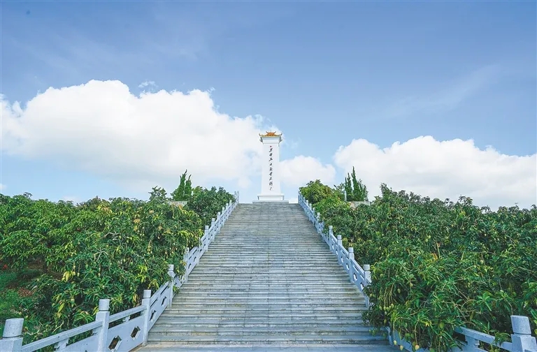 仲田嶺革命根據(jù)地-1.webp.jpg